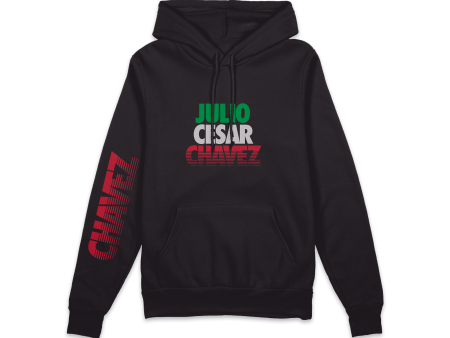 Sudadera hoodie  Futura Líneas Tricolor  negra caballero For Sale